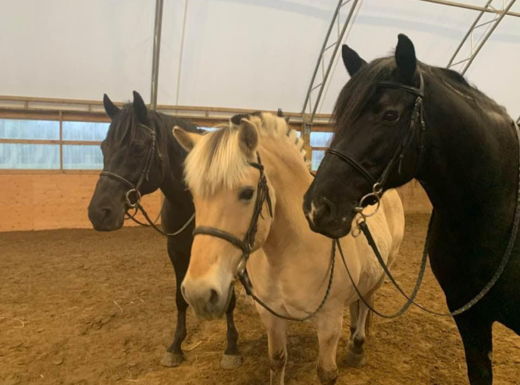 Screenshot 2024-01-24 at 10.11.39ΓÇ»PM